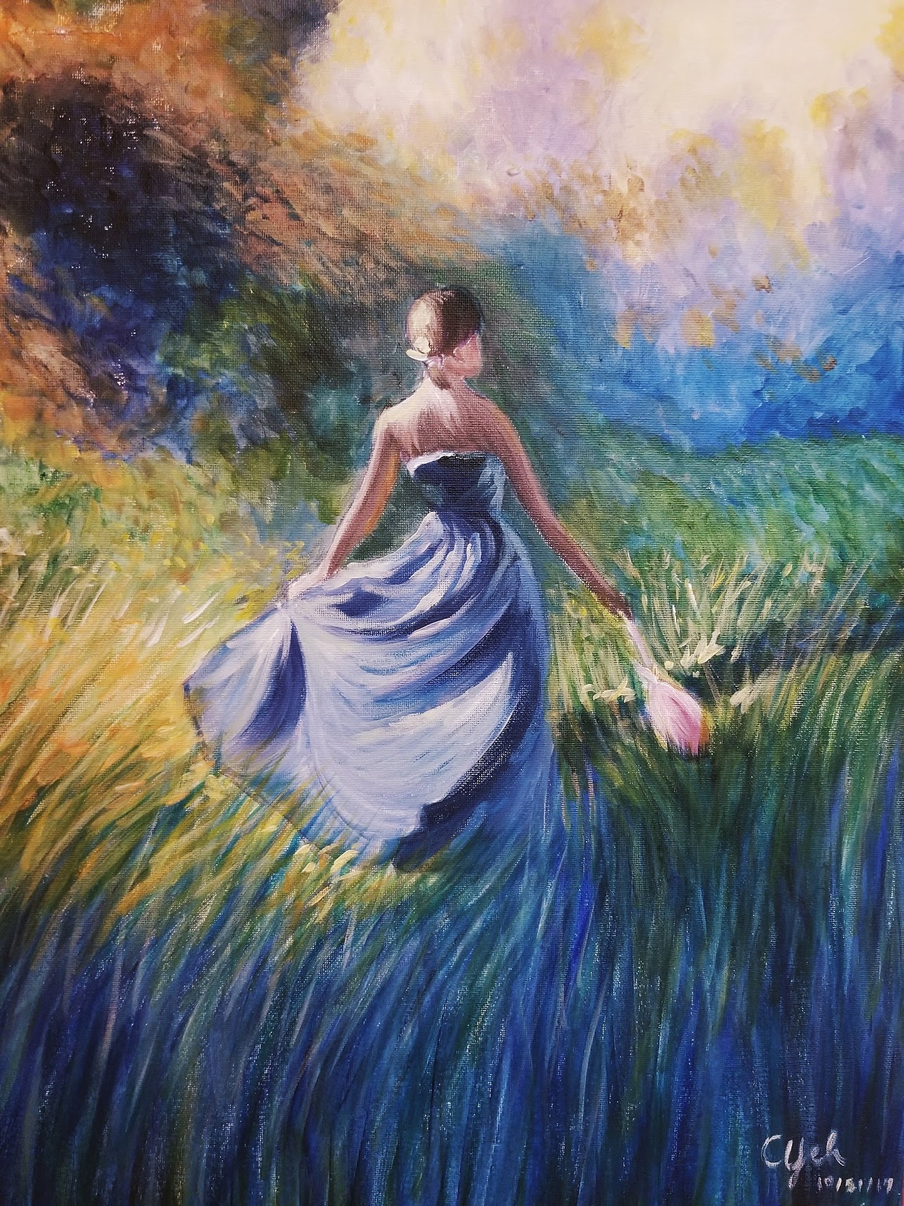Chasing Color (2017)