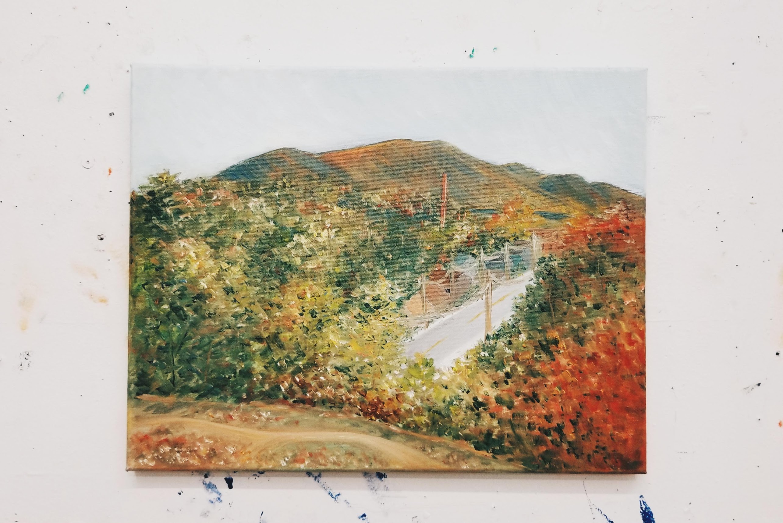 Hues of Autumn - Williams College (2019)