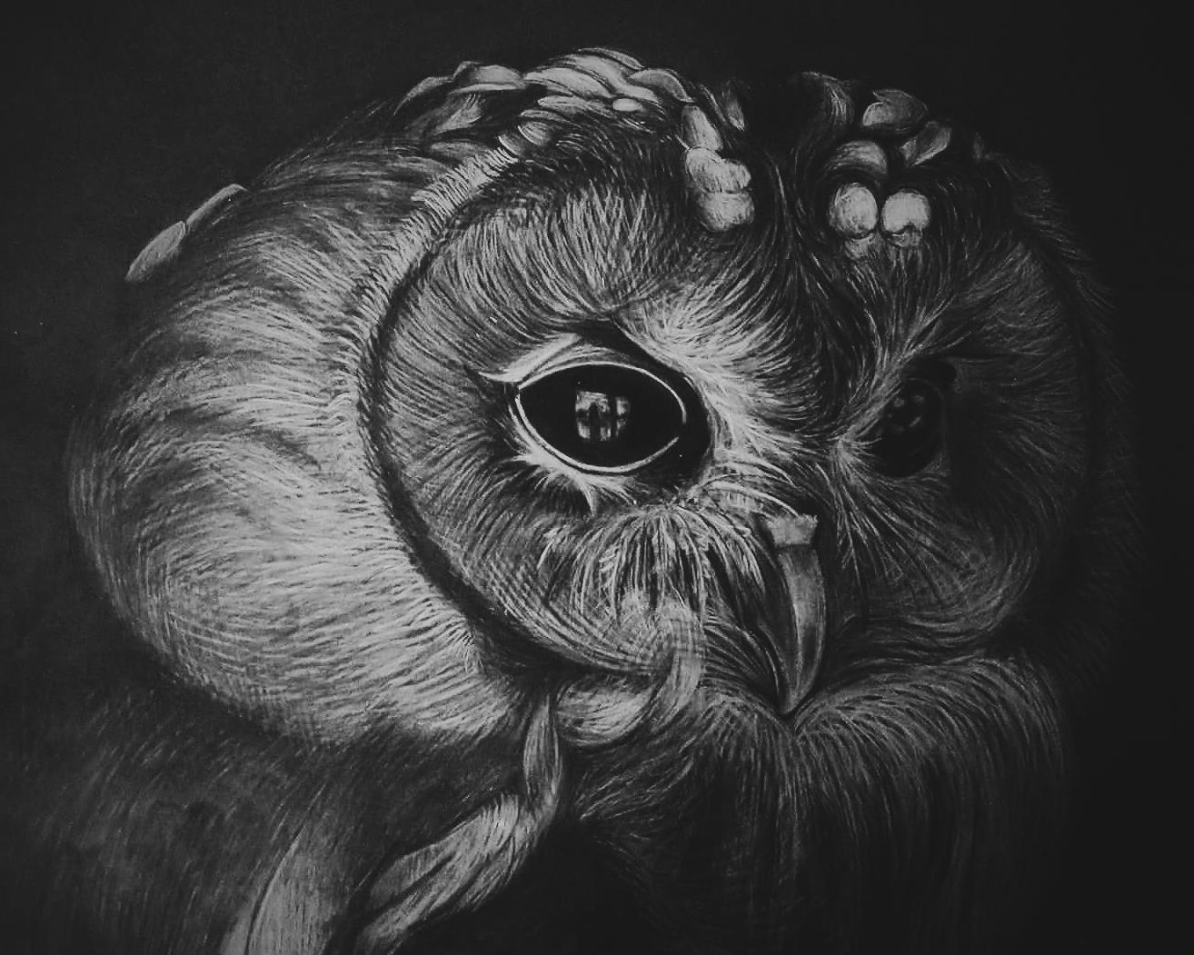 Wisdom (2017)