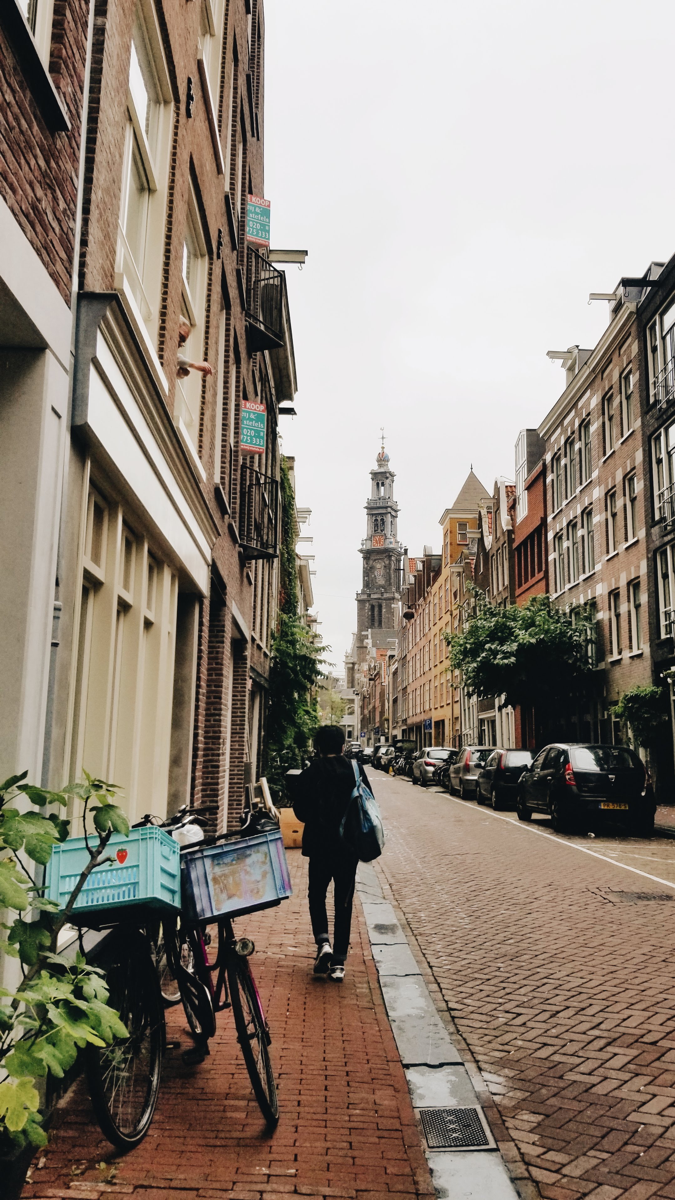 Amsterdam Alley (2019)