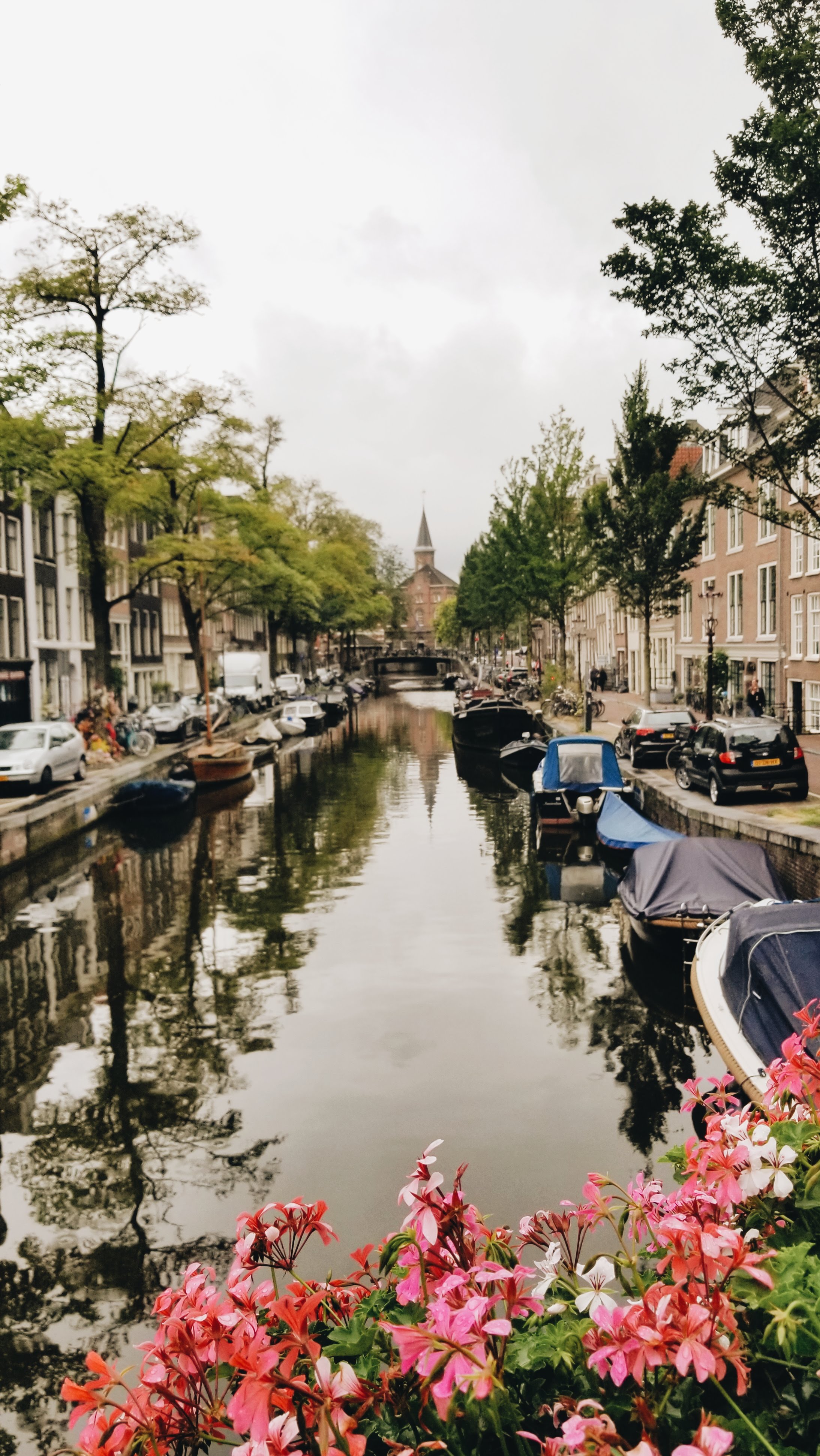 Flowers by the Canal - Amsterdam (2019)