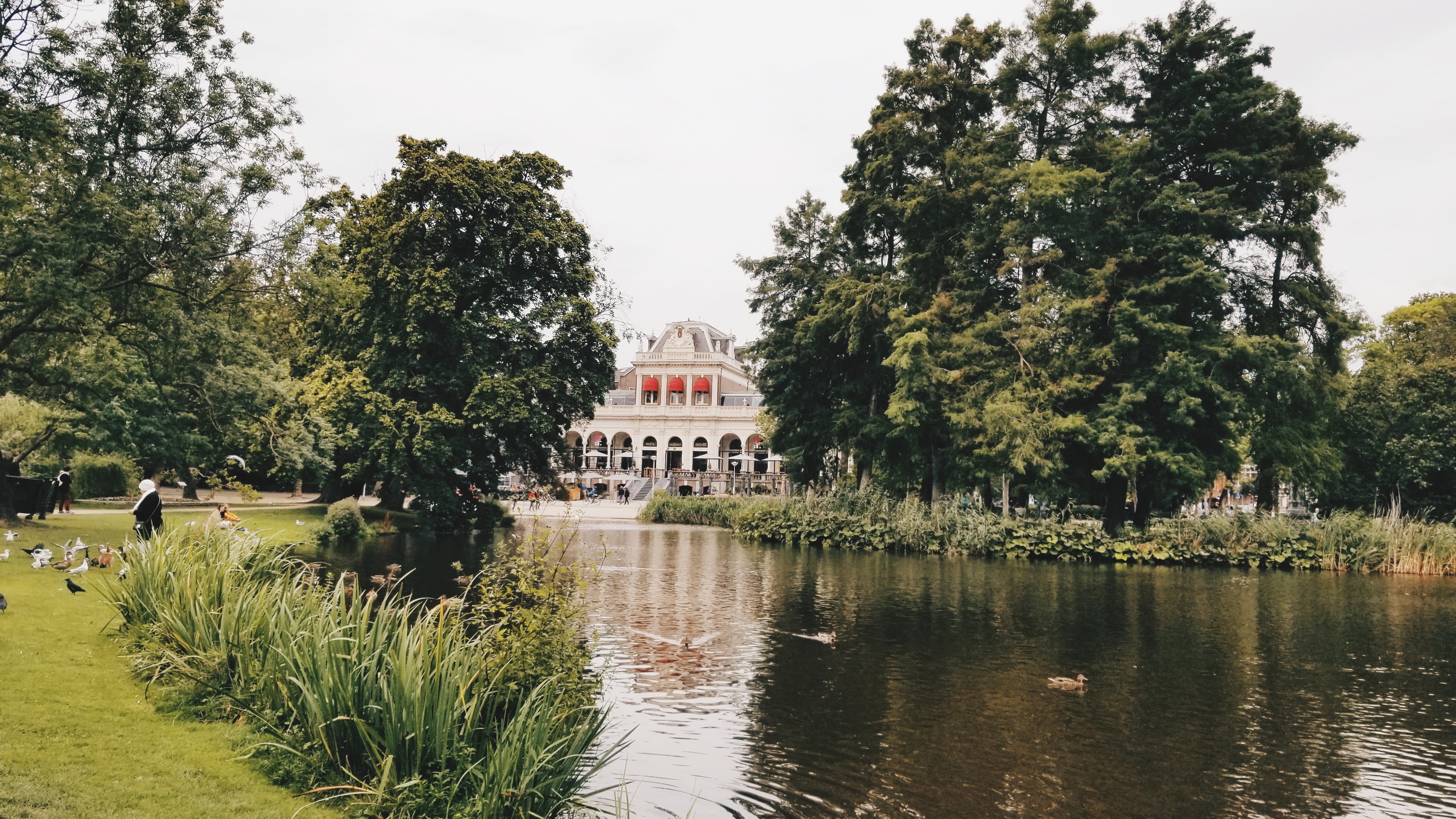 Pond - Vondelpark (2019)