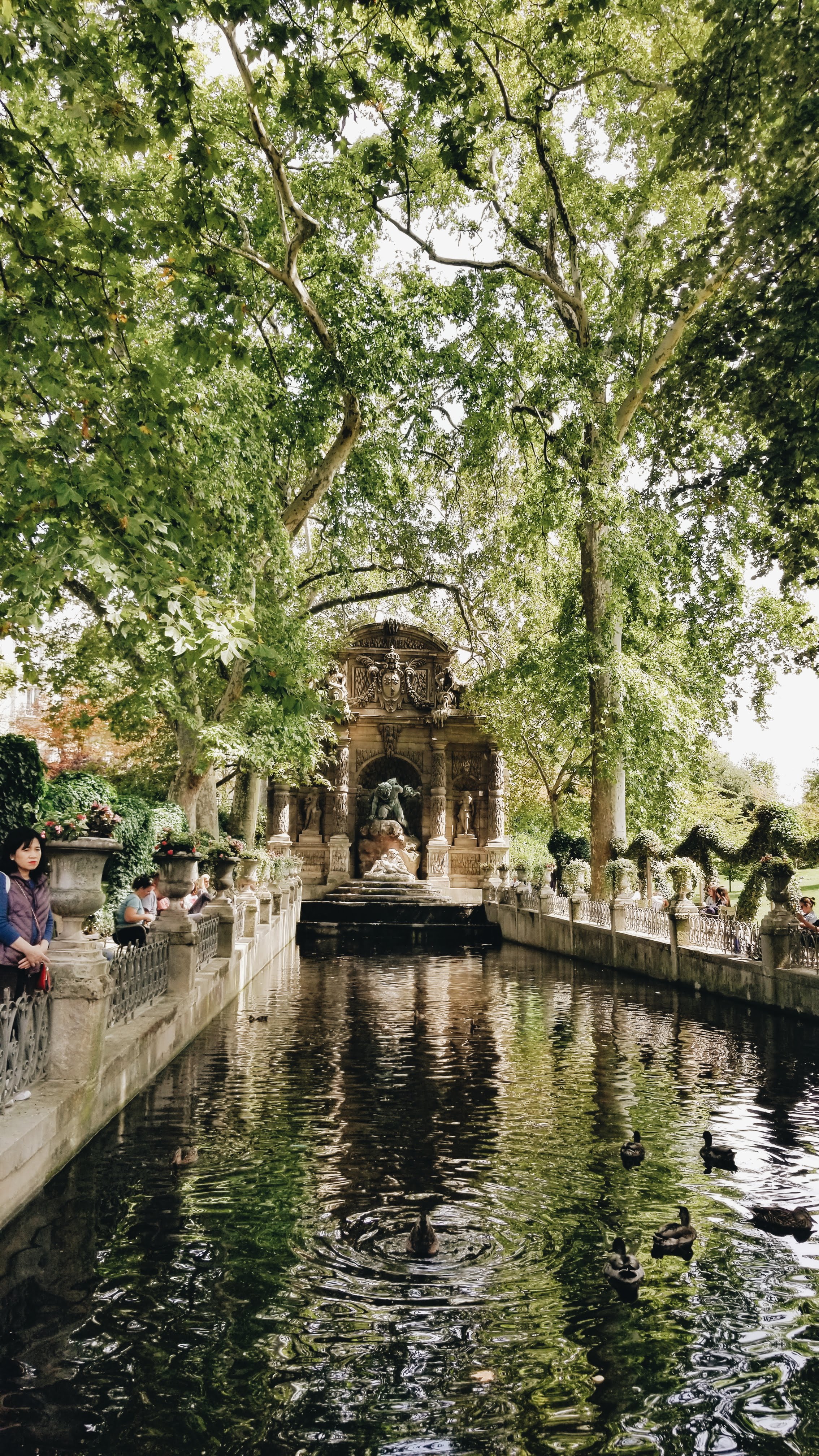 Reflecting Pool - Luxembourg Gardens (2019)