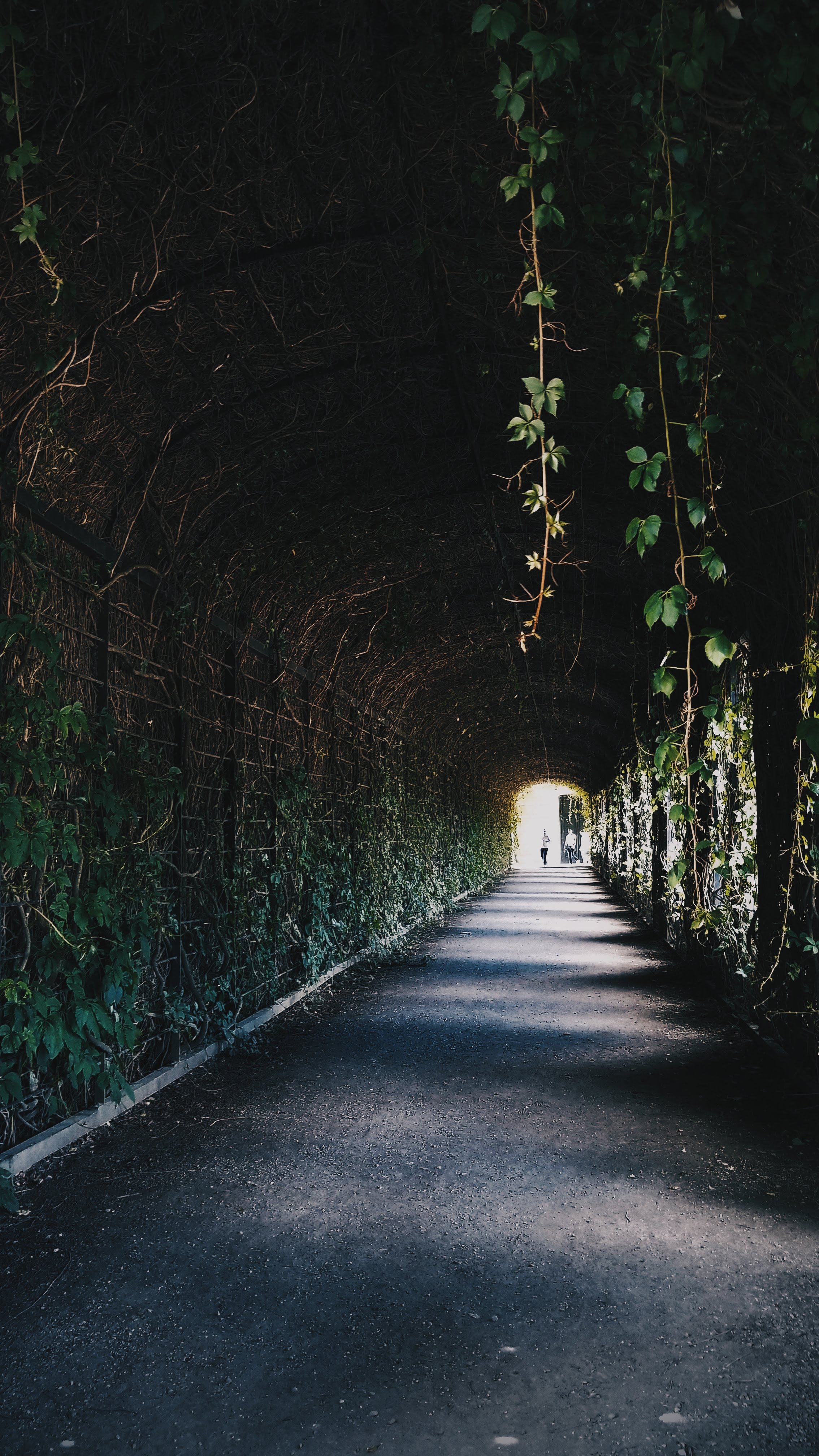 Hidden Passages - Schönbrunn Palace (2018)