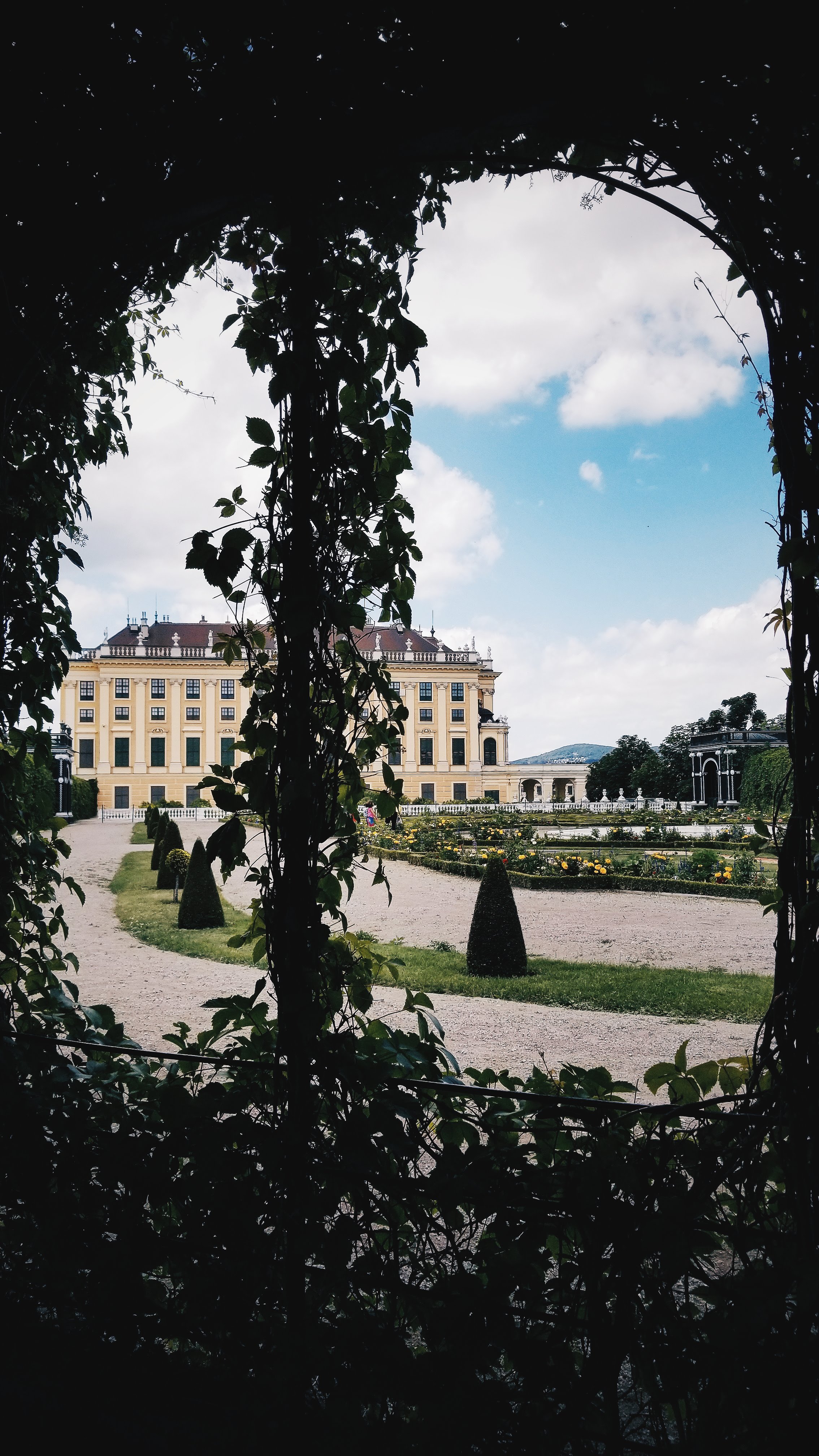 Columns of Ivy - Schönbrunn Palace (2018)